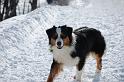 DSC_0385 (2)
